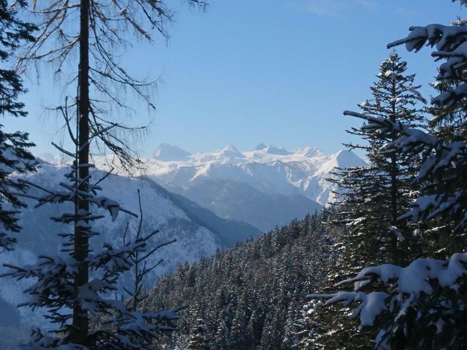 Sportpension Schober Obertraun Esterno foto