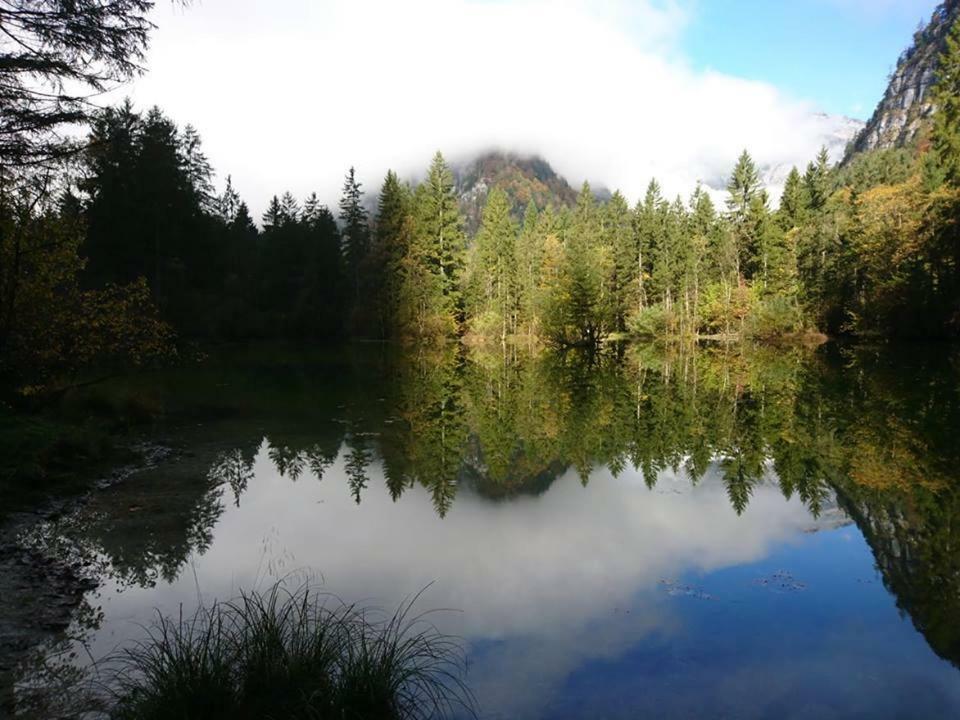 Sportpension Schober Obertraun Esterno foto