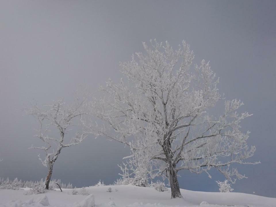 Sportpension Schober Obertraun Esterno foto