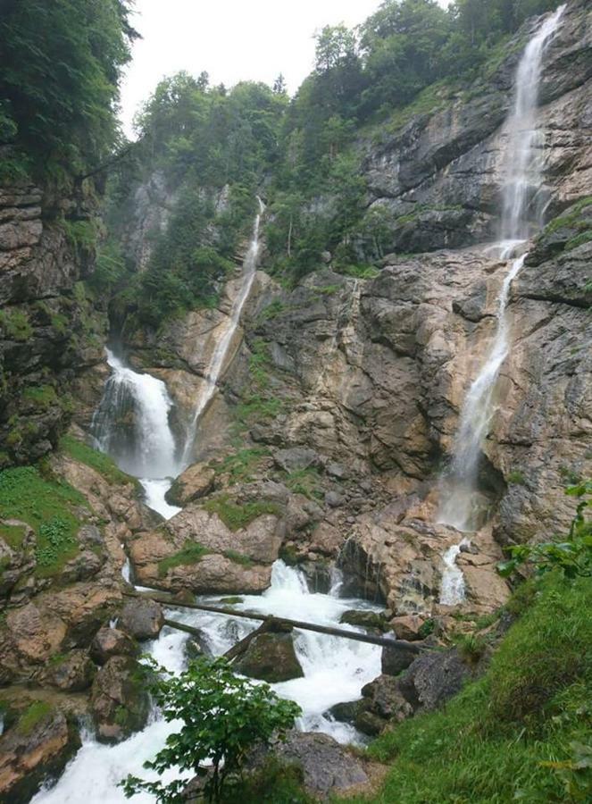 Sportpension Schober Obertraun Esterno foto