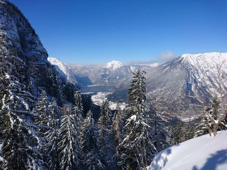 Sportpension Schober Obertraun Esterno foto