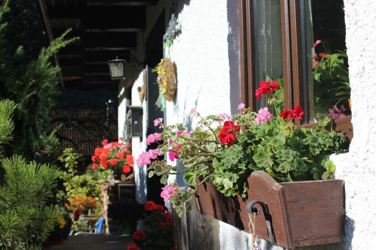 Sportpension Schober Obertraun Esterno foto